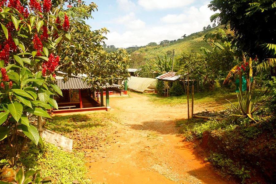 Caficultur -Alojamiento Rural Buenavista  Exterior foto